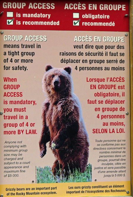 Bear sign at Consolation Lakes.
