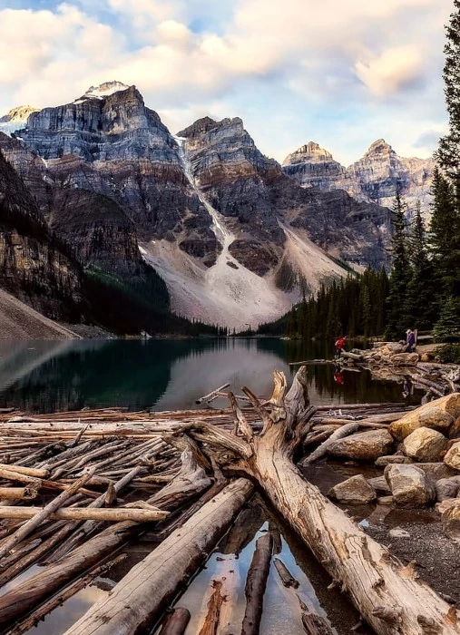 Portrait view of some logs and the Valley of the 10 Peaks on Moraine Lake.