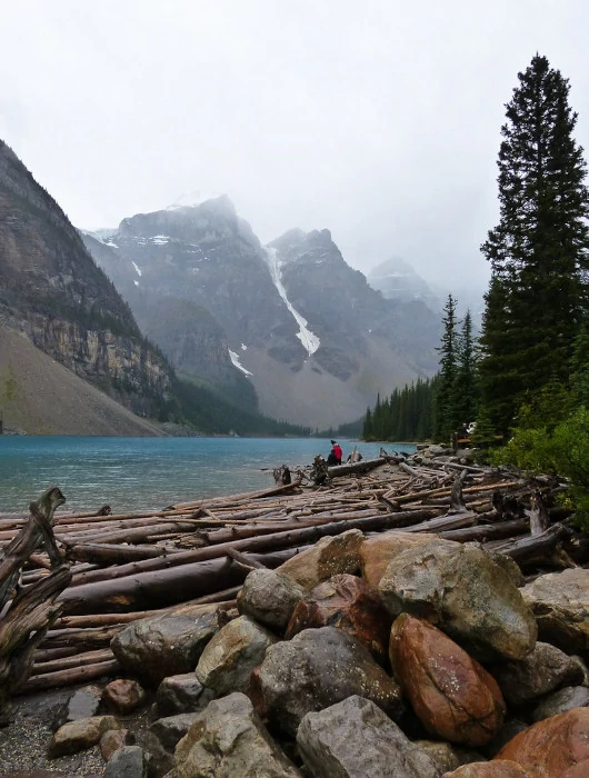 Rocks, logs, coudy day and Valley of the 10 Peaks at Moraine Lake.