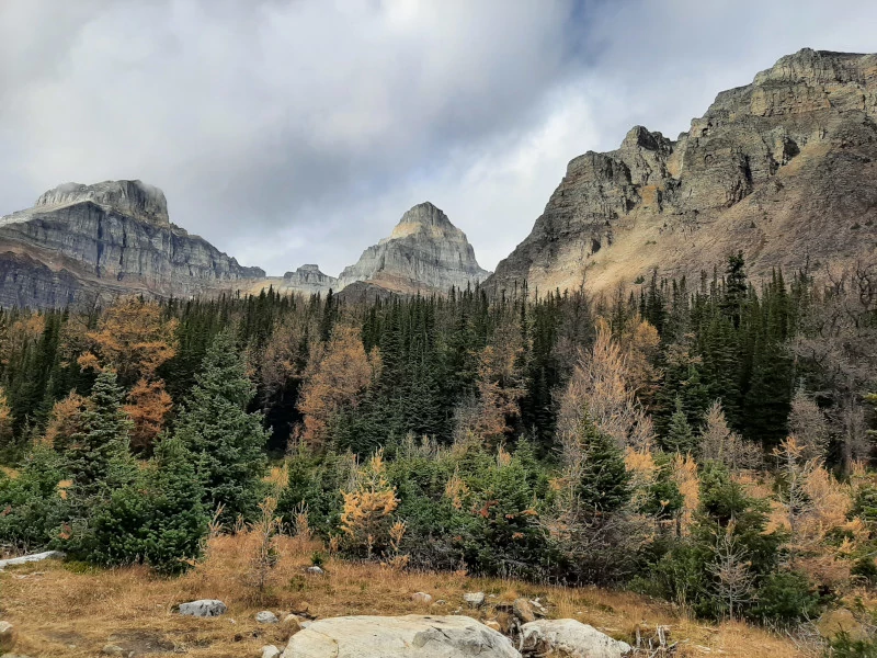 Mt. Eiffel in Larch Valley.